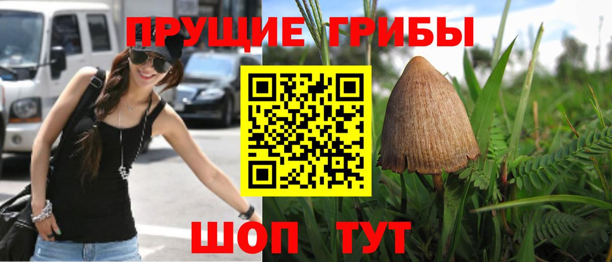 Псилоцибиновые грибы Cubensis  Вход с VPN  купить   Галлюциногенные грибы Psilocybine cubensis  Южноуральск 